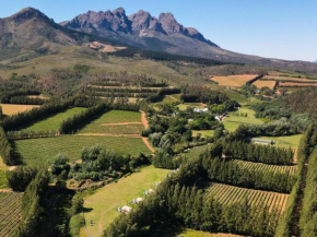 AfriCamps at Doolhof Wine Estate